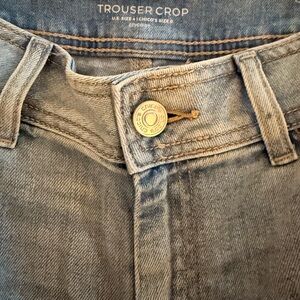 Chico's Classic Blue Denim trouser cropped Jeans